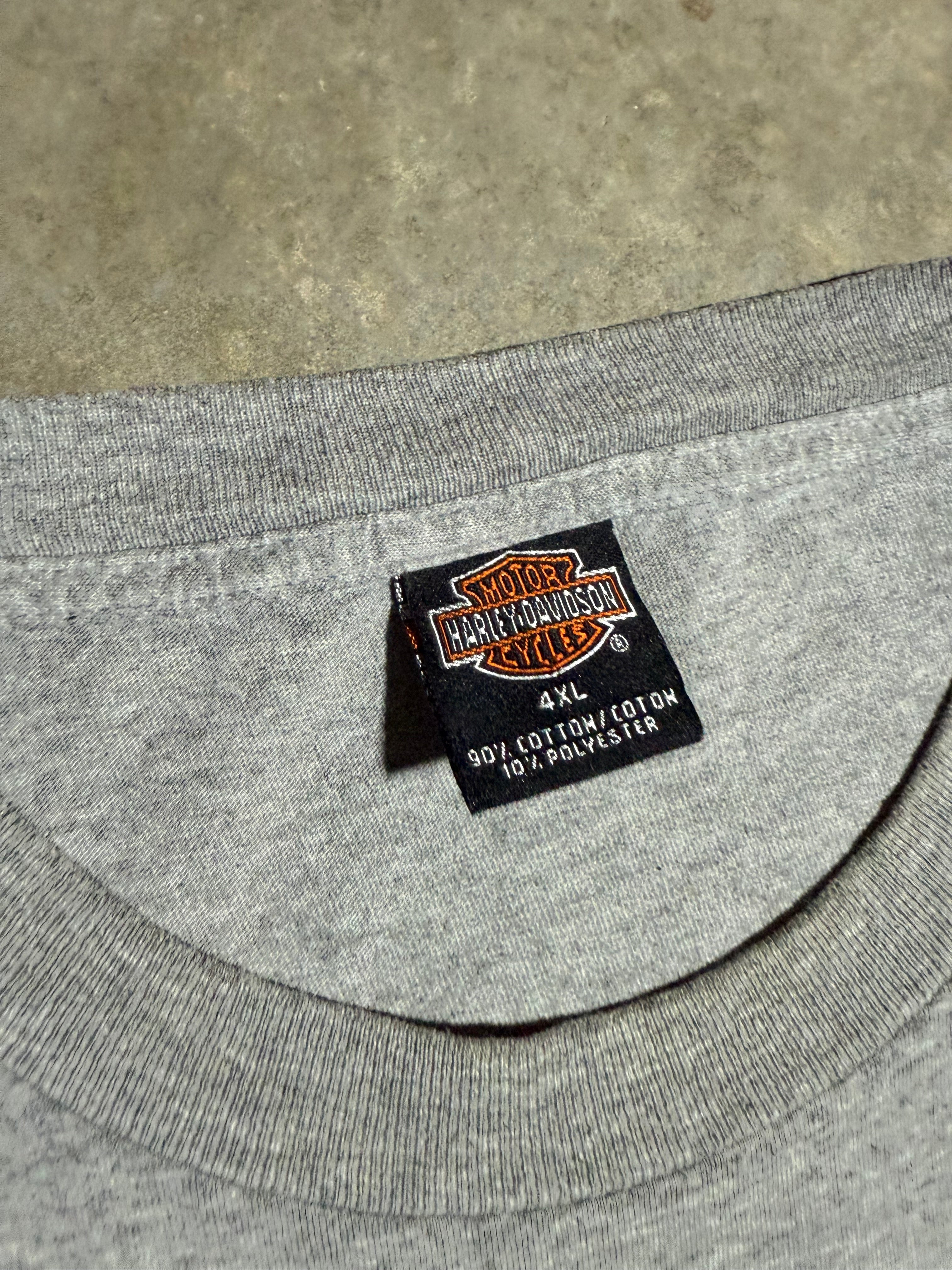 Lot of 2 Vintage Distressed Harley/Biker Shirts (3XL)