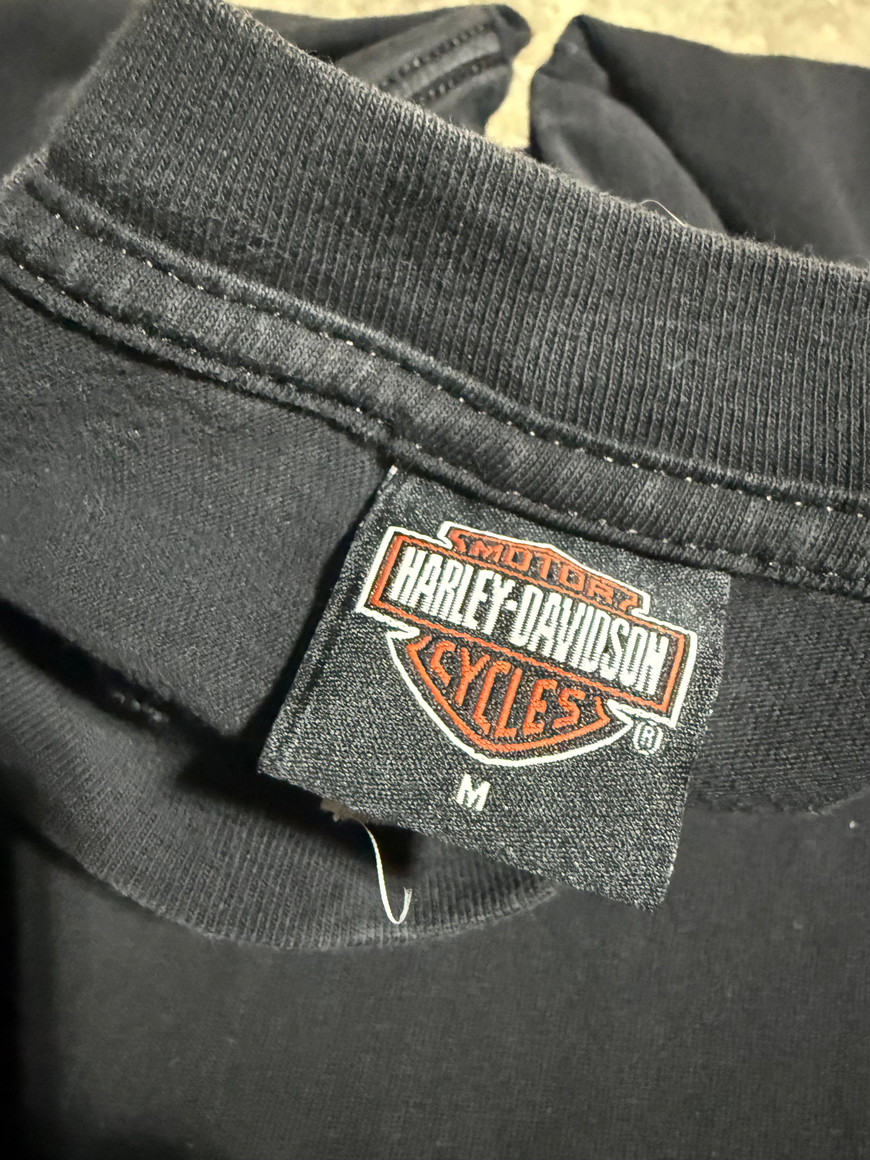 Vintage 2002 Harley Davidson American Pride T-Shirt (M)