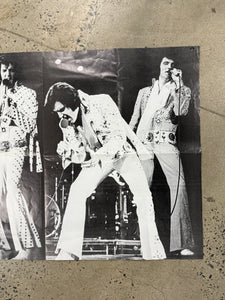 Vintage In Memory of Elvis Double Sided Poster (21x31)