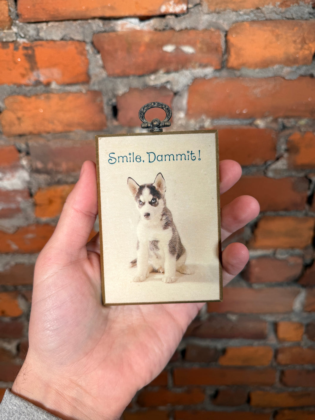 80s Smile, Dammit Dog Wall Hang