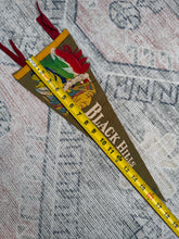 Load image into Gallery viewer, Vintage 50s/60s Black Hills Native American Feather Pennant (17inch)
