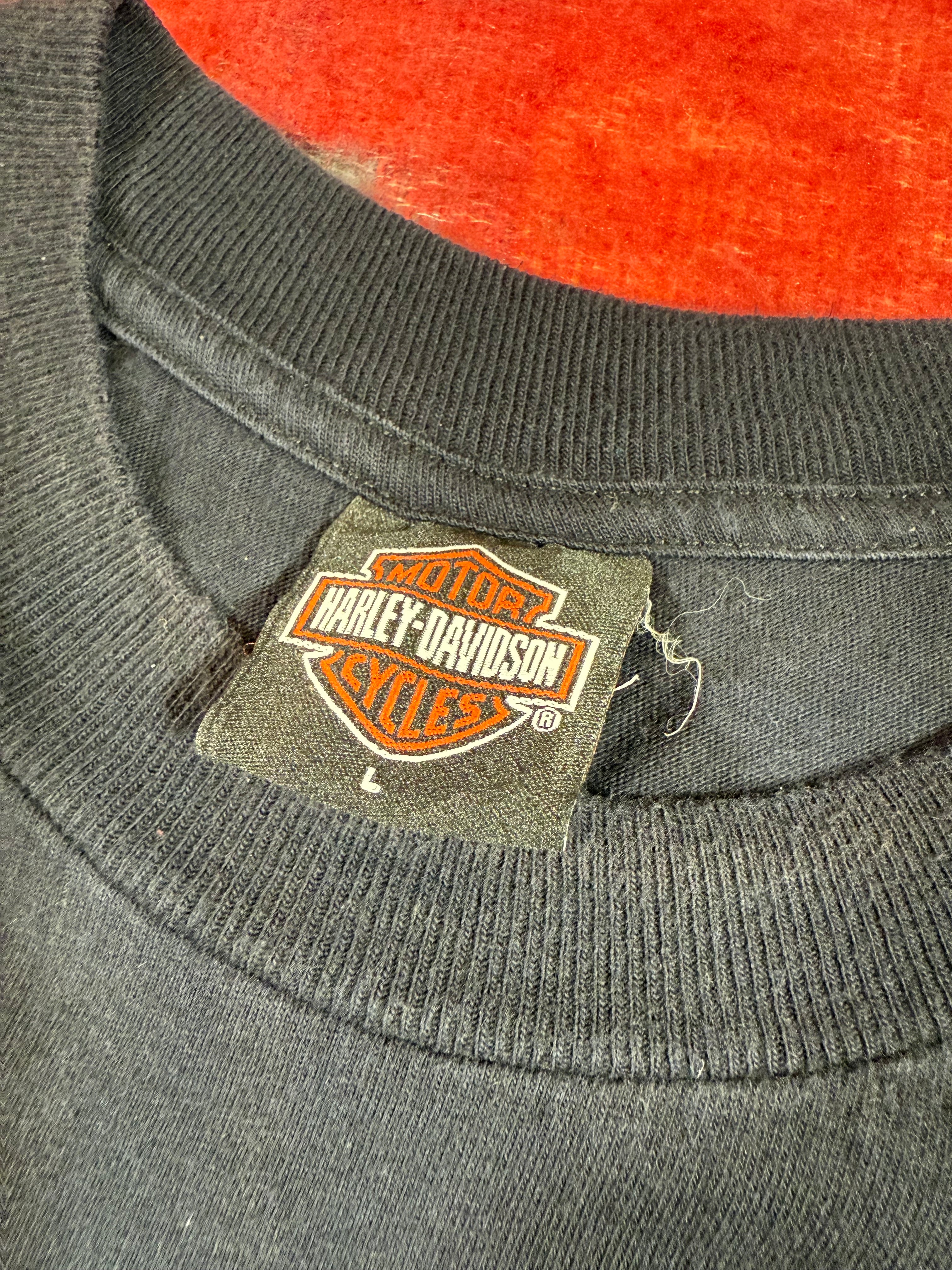 Harley Davidson American Flag Pennsylvania T-Shirt (L)