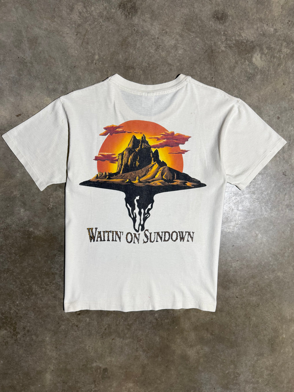Vintage 90s Brooks & Dunn Waitin on Sundown T-Shirt (M)