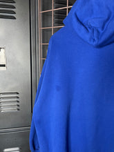 Load image into Gallery viewer, Vintage Greenwood Furnace State Park Hoodie (XL)
