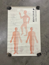 Load image into Gallery viewer, Vintage 1973 Acupuncture Chart (25x38inch)
