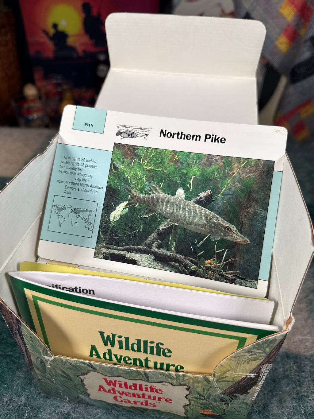 Vintage Wildlife Adventure Cards Set