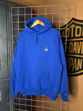 Load image into Gallery viewer, Vintage Greenwood Furnace State Park Hoodie (XL)
