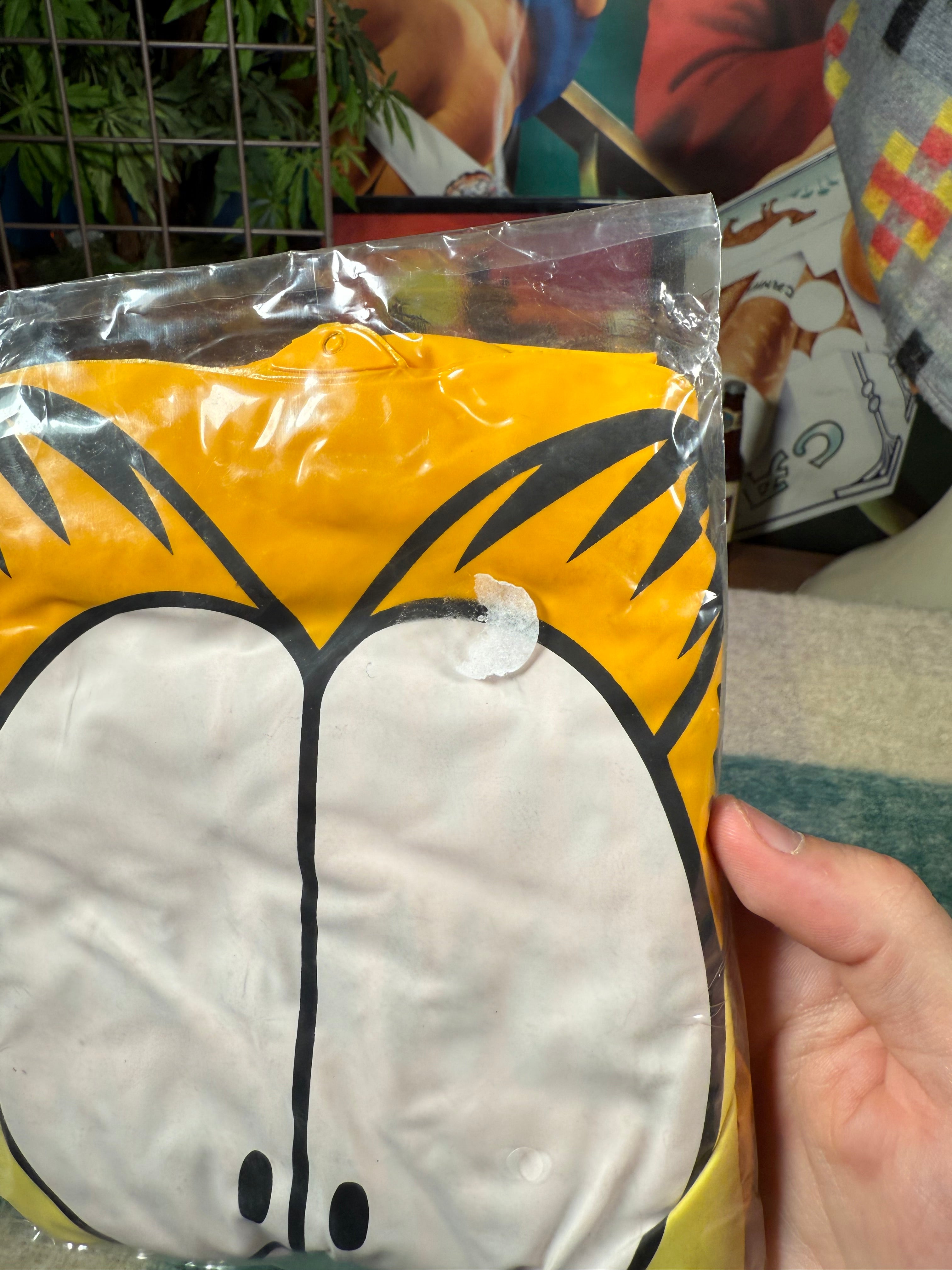 Vintage Unopened 2002 Garfield Inflatable