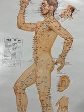 Load image into Gallery viewer, Vintage 70s Acupuncture Chart (24.5x37.5inch)
