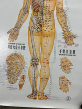 Load image into Gallery viewer, Vintage 70s Acupuncture Chart (24.5x38inch)
