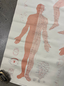 Vintage 1973 Acupuncture Chart (25x38inch)