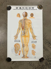 Load image into Gallery viewer, Vintage 70s Acupuncture Chart (24.5x38inch)
