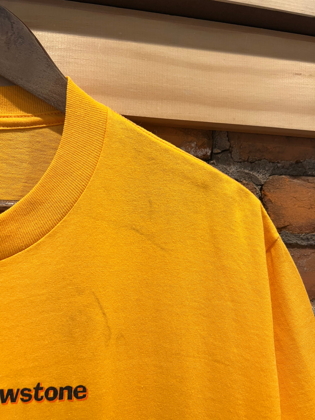 Vintage Yellowstone Moose Tee (M)