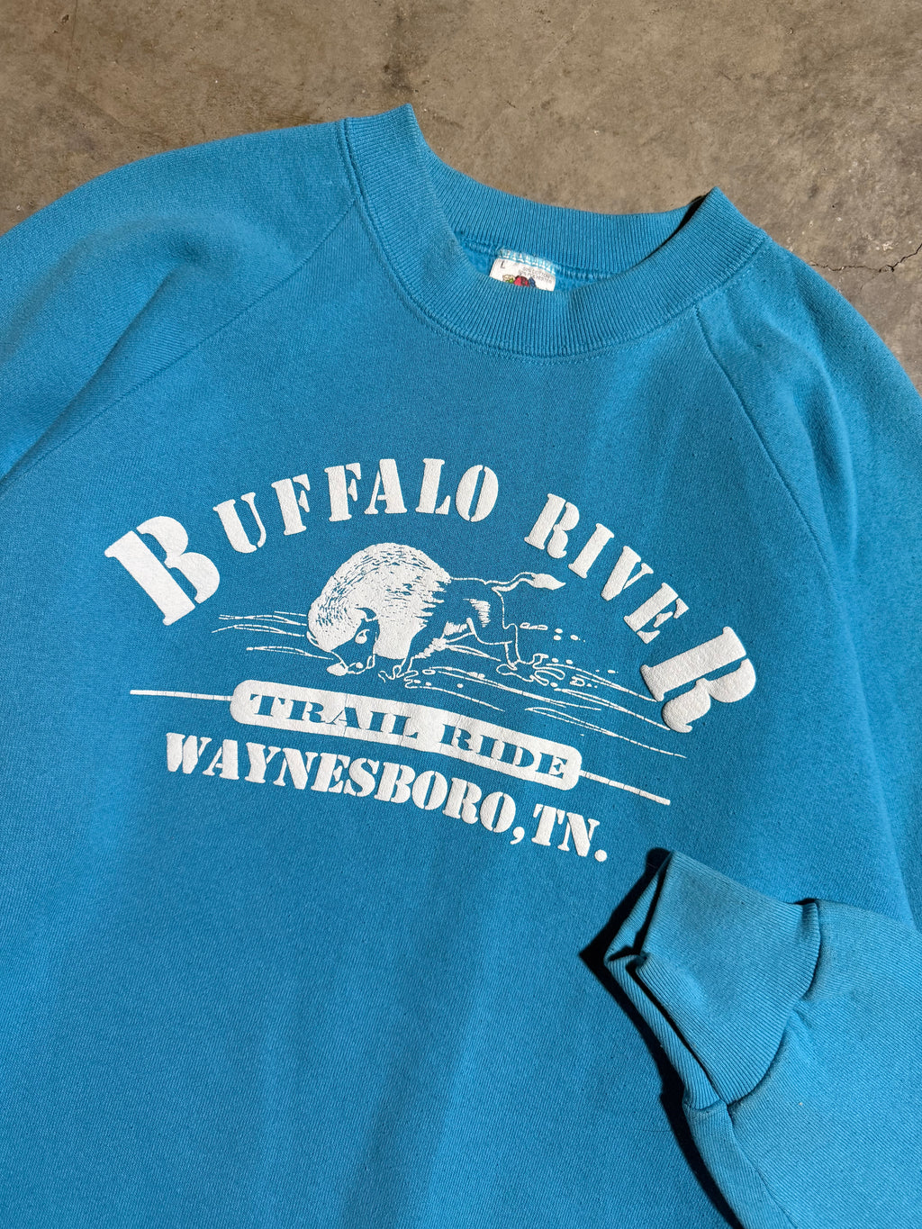 Vintage Early 90s Buffalo River Trail Ride Puffy Print Crewneck (M)
