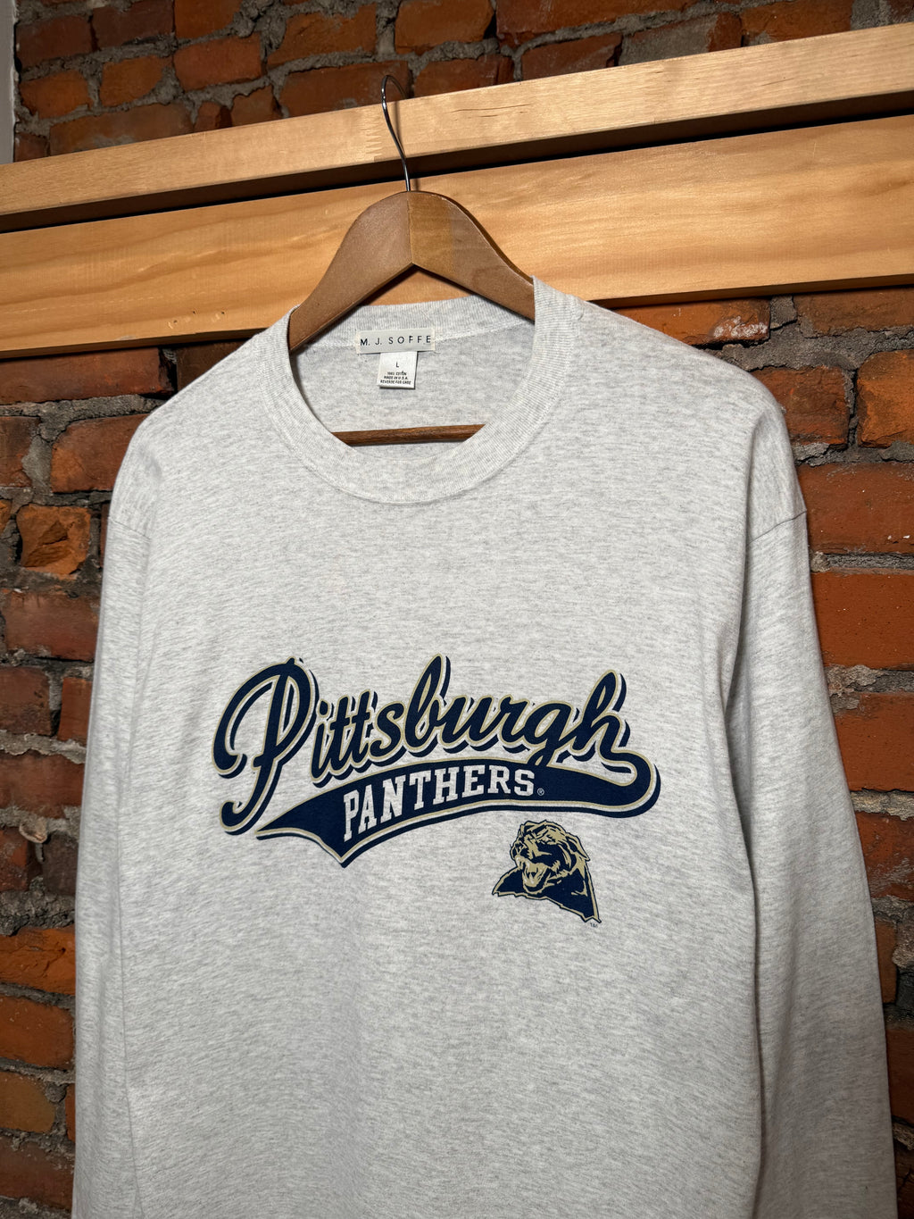 Vintage University of Pittsburgh Longsleeve (L)
