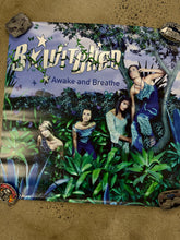 Load image into Gallery viewer, Vintage 1999 B*Witched Awake and Breathe Album Poster (24x24)
