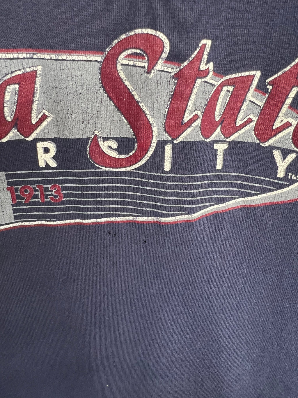 Vintage Georgia State Distressed Tee (XXL)