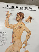 Load image into Gallery viewer, Vintage 70s Acupuncture Chart (24.5x37.5inch)
