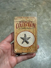 Load image into Gallery viewer, Lot of 6 Vintage Fish/Ocean Wildlife Pins
