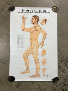 Vintage 70s Acupuncture Chart (24.5x37.5inch)