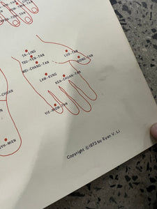 Vintage 1973 Acupuncture Chart (25x38inch)