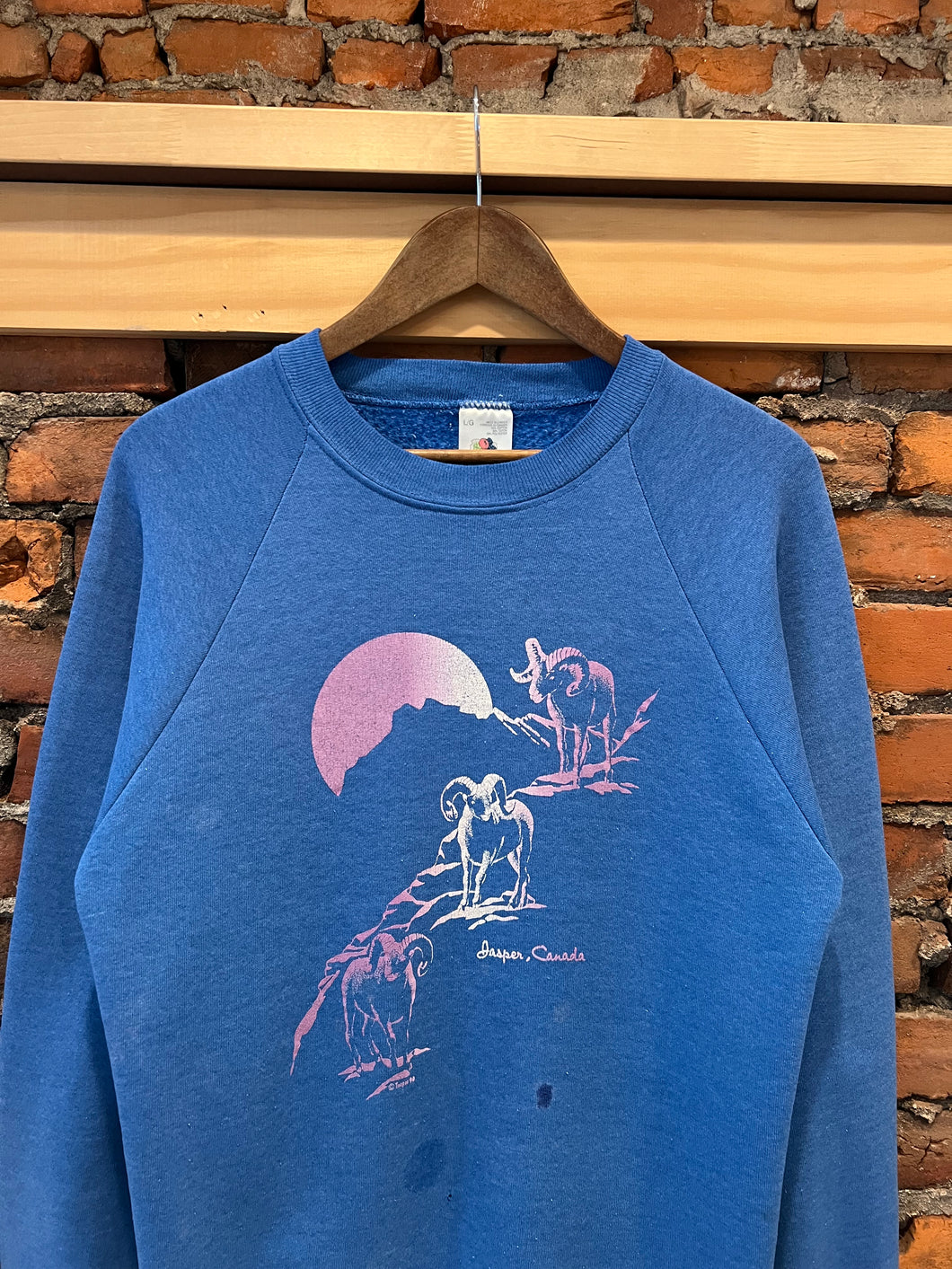 Vintage Jasper Canada Ram Crewneck (M)