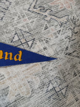 Load image into Gallery viewer, Vintage 70s Disneyland Pennant
