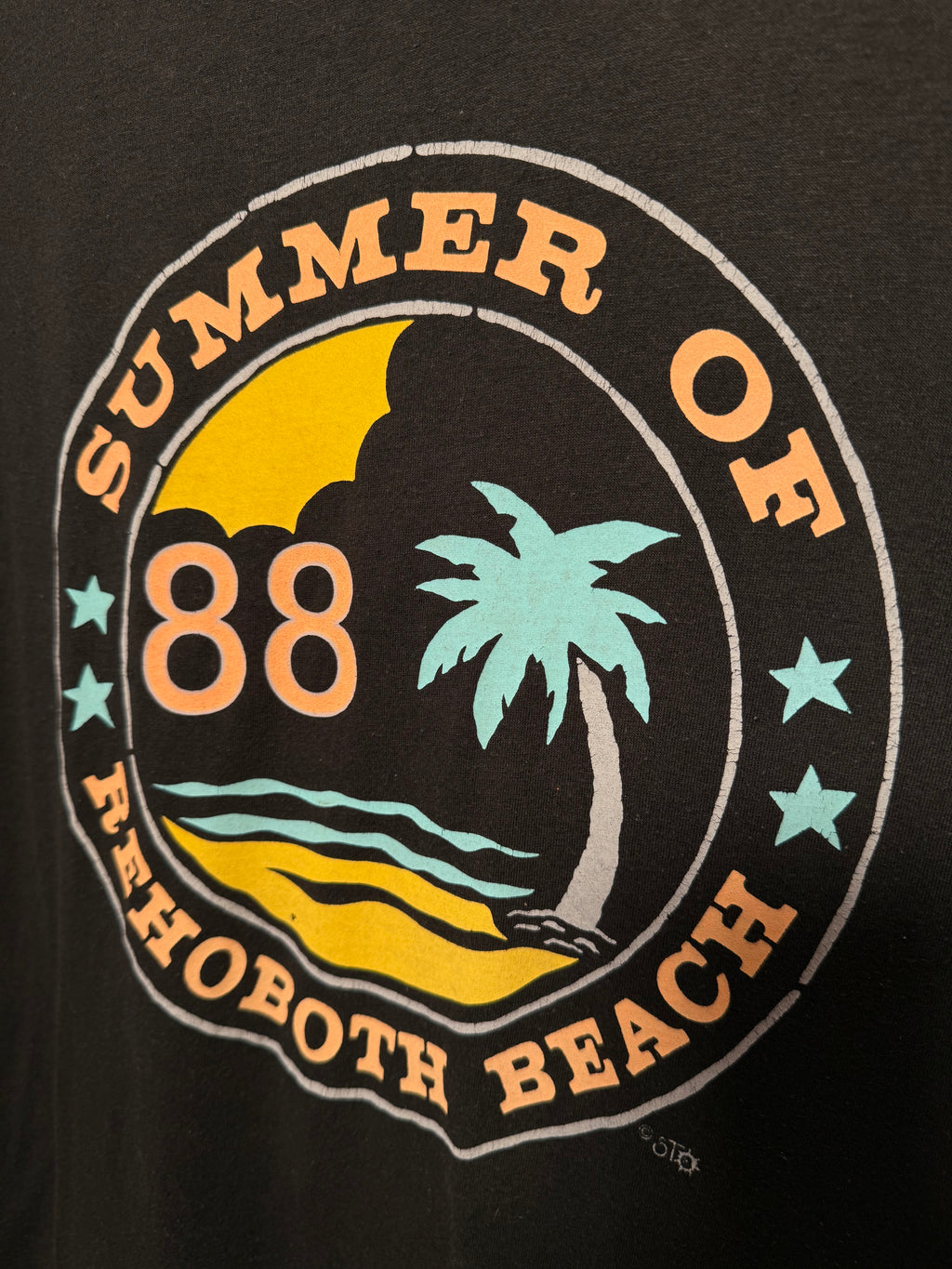Vintage Summer 1988 Rehoboth Beach Tee (M)