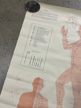 Load image into Gallery viewer, Vintage 1973 Acupuncture Chart (25x38inch)
