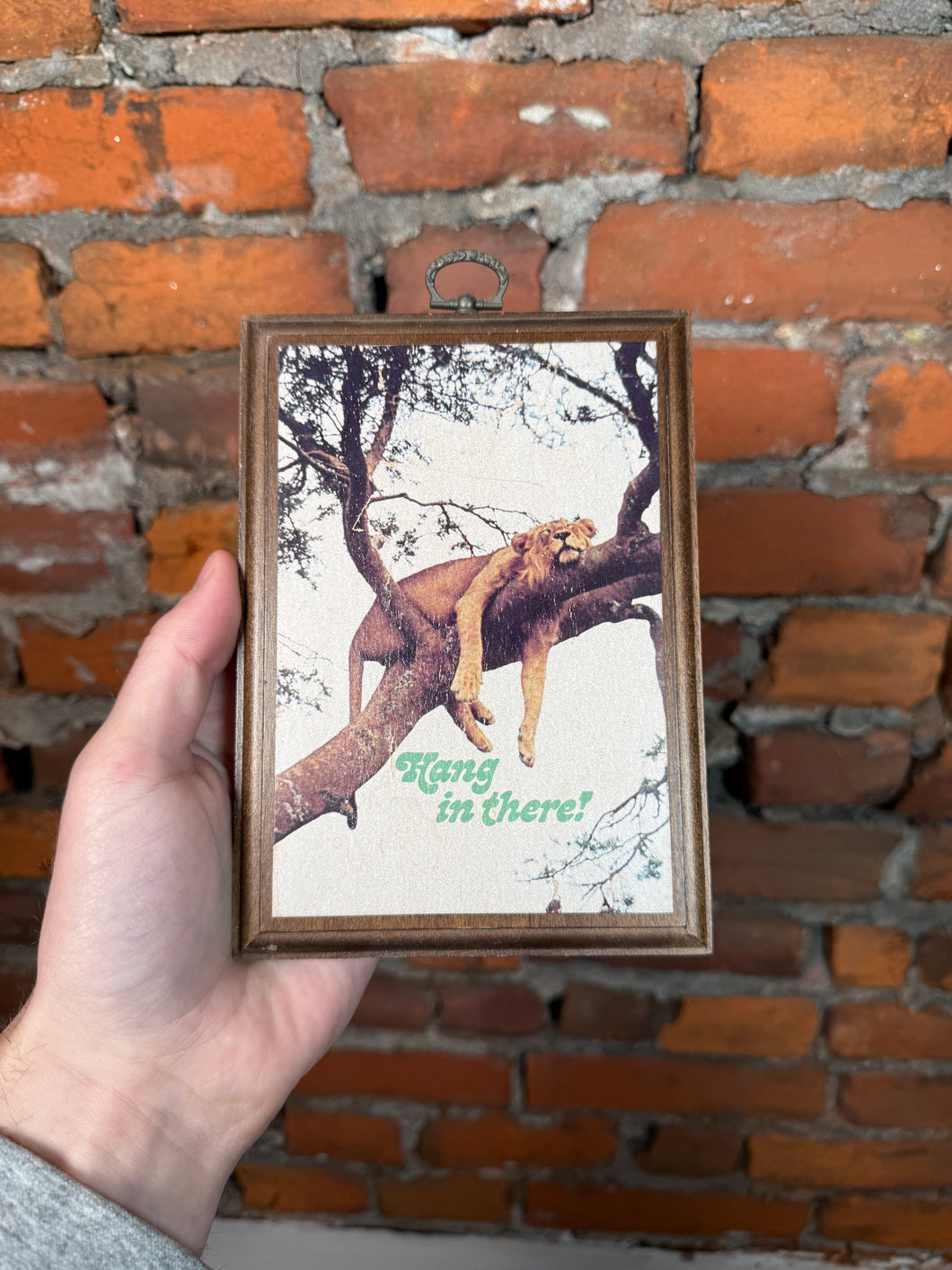 Vintage Hang in There Lion Wall Hang