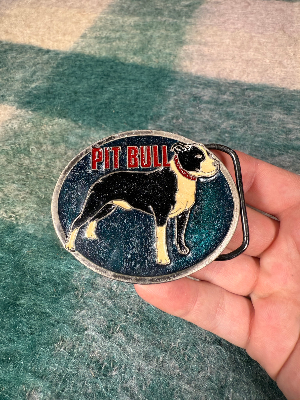 Vintage Pit Bull Multicolor Belt Buckle