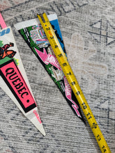 Load image into Gallery viewer, Lot of 2 Vintage Canada Pennants
