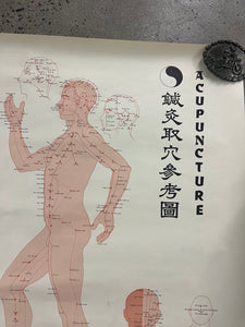 Vintage 1973 Acupuncture Chart (25x38inch)