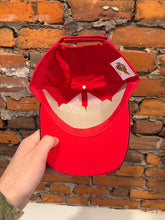 Load image into Gallery viewer, 2000s Dale Jr Budweiser Hat
