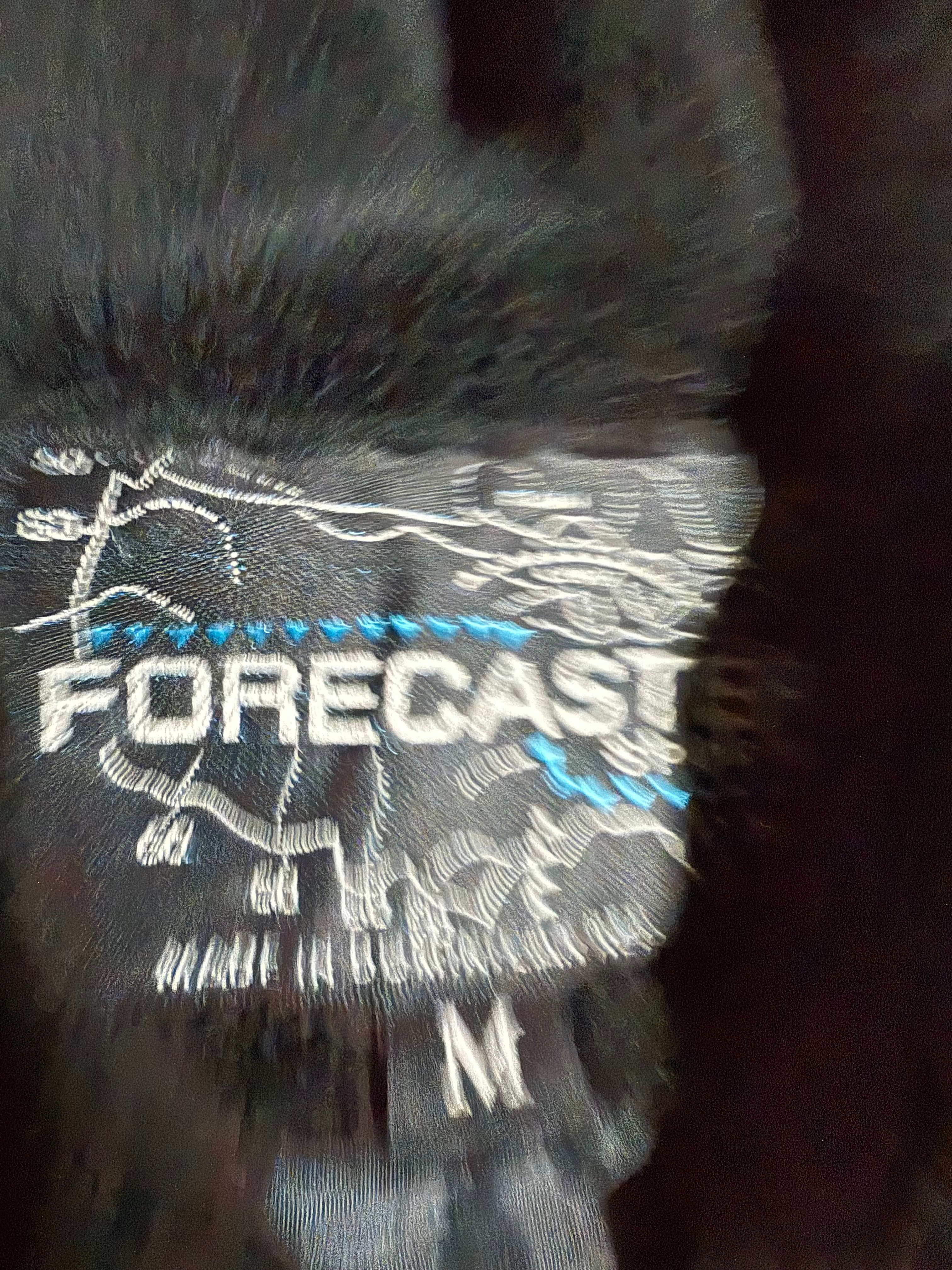 Vintage Forecaster Pattern Fleece Zip Up (L)