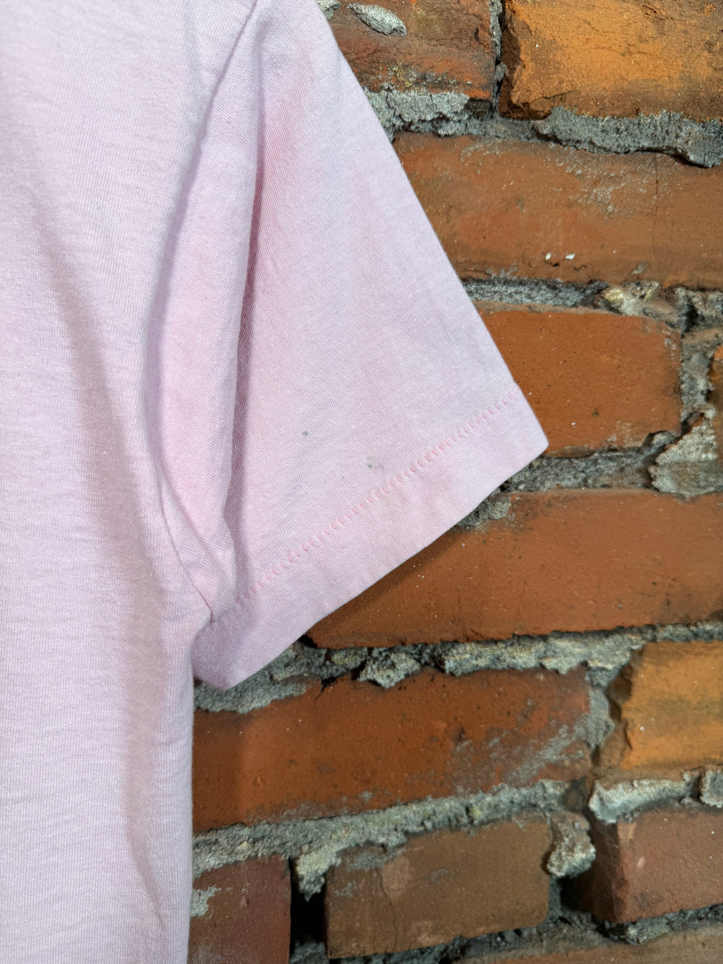 Vintage Flamingos and Duck Tee (WS)