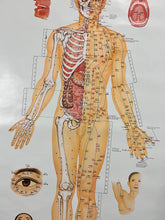 Load image into Gallery viewer, Vintage 1973 Acupuncture Diagram Poster (24.5x38inch)
