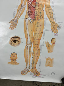 Vintage 1973 Acupuncture Diagram Poster (24.5x38inch)