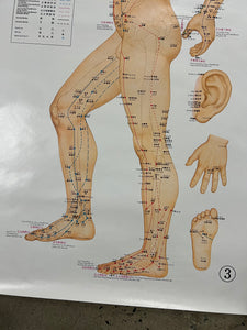 Vintage 70s Acupuncture Chart (24.5x37.5inch)