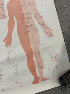 Vintage 1973 Acupuncture Chart (25x38inch)