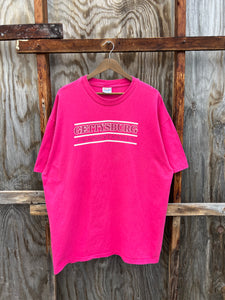 Vintage Pink Gettysburg PA Tee (XXL)